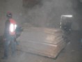 /album/trabajos-realizados/fotos-pest-control-745-jpg/